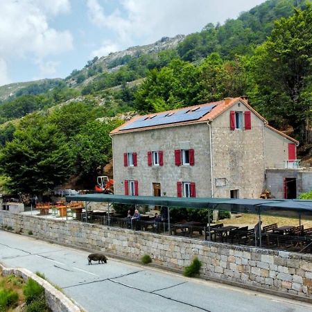 Ferme Auberge Du Col De La Vaccia Olivese 外观 照片