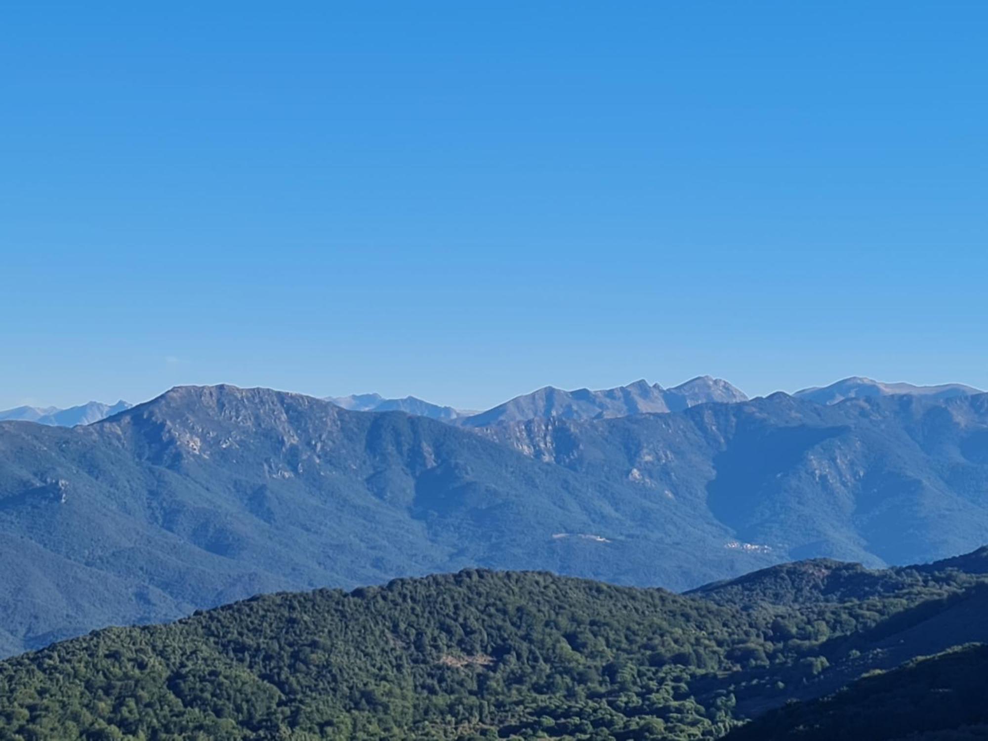 Ferme Auberge Du Col De La Vaccia Olivese 外观 照片