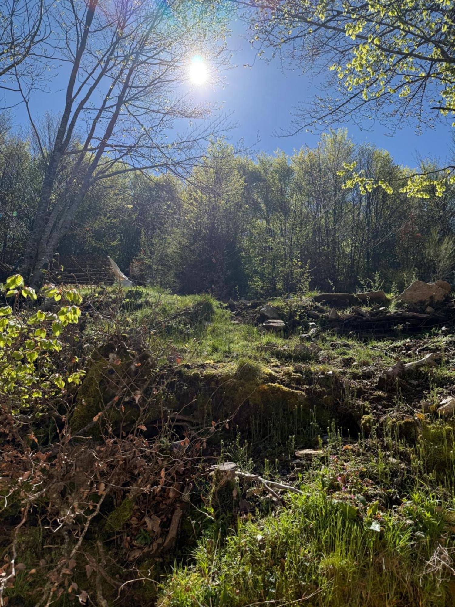 Ferme Auberge Du Col De La Vaccia Olivese 外观 照片